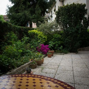Accomodation to frédéric leloup home, the garden