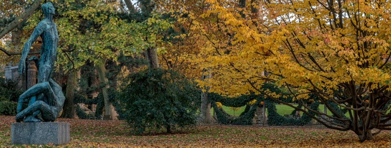 Autumn in Garden & Parks